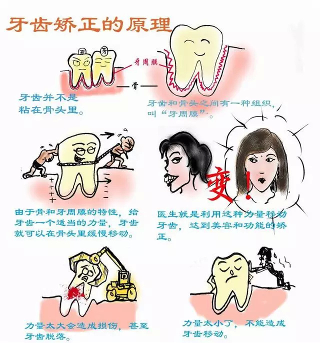 深圳罗湖整牙医院哪个好？