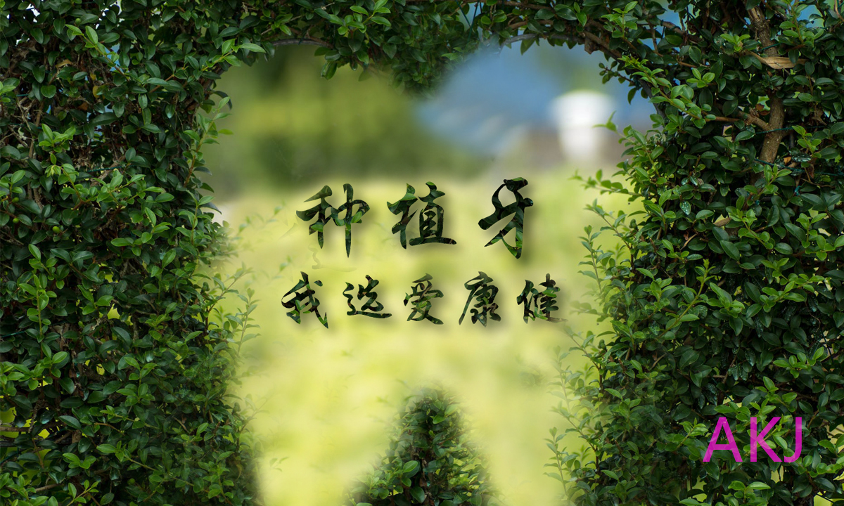 种植牙